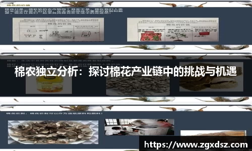 棉农独立分析：探讨棉花产业链中的挑战与机遇